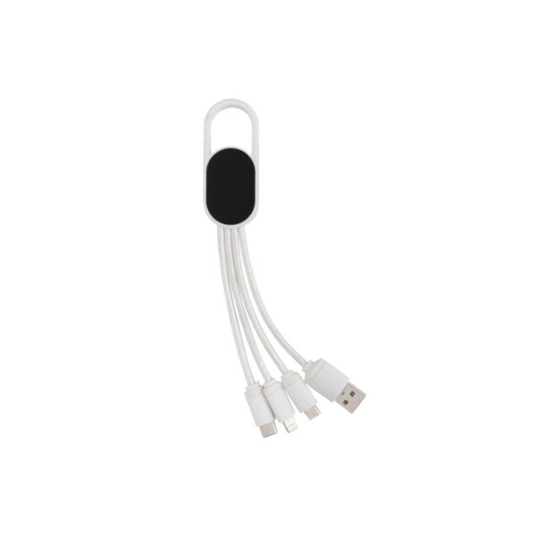 4-in-1 cable with carabiner clip