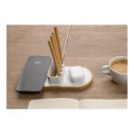 Ontario RCS rplastic 10W dual wireless - Slika 9