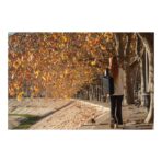 Bobby Bizz 2.0 anti-theft backpack & briefcase - Image 17