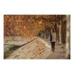 Bobby Bizz 2.0 anti-theft backpack & briefcase - Image 18