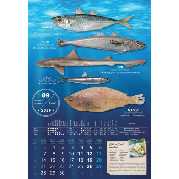 1-02og000178-4eb93e71