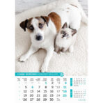 "PSI i MAČKE" 13 list., dim: 30,5x50 cm, PVC vrećica, P/50, color kalendar - Image 2