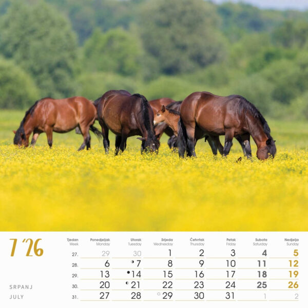 1-02og000221-ced267cd