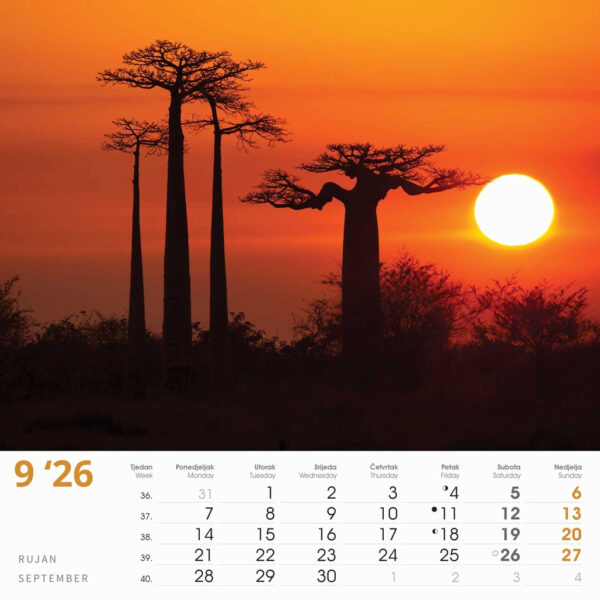 1-02og000226-d5282c5c