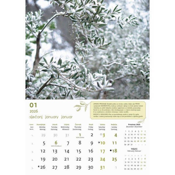 1-02og000281-1e0c2220