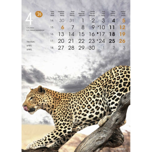 1-02og001131-6ac714eb