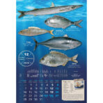 "S RIBARNICE" 13 list., dim: 33x55 cm, PVC vrećica, P/40, color kalendar - Image 11
