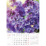 "CVIJEĆE" 13 list., dim: 24x53,5 cm, PVC vrećica, P/50, color kalendar - Image 11