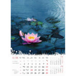 "CVIJEĆE" 13 list., dim: 24x53,5 cm, PVC vrećica, P/50, color kalendar - Image 12