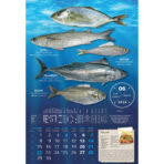 "S RIBARNICE" 13 list., dim: 33x55 cm, PVC vrećica, P/40, color kalendar - Image 13