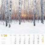 "ČARI PRIRODE" 13 lis. dim: 33x40cm, PVC vrećica, P/50, color kalendar - Image 13