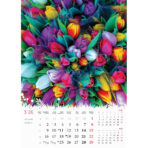 "CVIJEĆE" 13 list., dim: 24x53,5 cm, PVC vrećica, P/50, color kalendar - Image 13