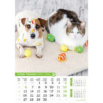 "PSI i MAČKE" 13 list., dim: 30,5x50 cm, PVC vrećica, P/50, color kalendar - Image 3