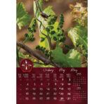 "VINO" 13 list., dim: 33x55 cm, PVC vrećica, P/40, color kalendar - Slika 3