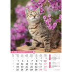 "PSI i MAČKE" 13 list., dim: 30,5x50 cm, PVC vrećica, P/50, color kalendar - Image 4