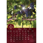 "VINO" 13 list., dim: 33x55 cm, PVC vrećica, P/40, color kalendar - Slika 4