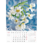 "CVIJEĆE" 13 list., dim: 24x53,5 cm, PVC vrećica, P/50, color kalendar - Image 4
