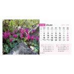"PRIRODA" 13 list., dim: 20,5x14,5 cm, stolni kalendar, koverta, P/100 - Image 5