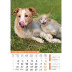"PSI i MAČKE" 13 list., dim: 30,5x50 cm, PVC vrećica, P/50, color kalendar - Image 5