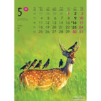 "ŽIVOTINJE" 13list., dim: 24x53,5 cm, PVC vrećica, P/50, color kalendar - Slika 5