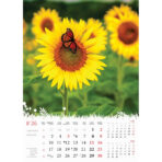 "CVIJEĆE" 13 list., dim: 24x53,5 cm, PVC vrećica, P/50, color kalendar - Image 5