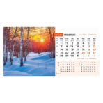 "PRIRODA" 13 list., dim: 20,5x14,5 cm, stolni kalendar, koverta, P/100 - Image 6