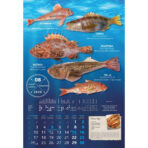 "S RIBARNICE" 13 list., dim: 33x55 cm, PVC vrećica, P/40, color kalendar - Image 6