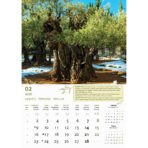 "MASLINE" 13 list., dim: 30,5x50 cm, PVC vrećica, P/50, color kalendar - Image 6