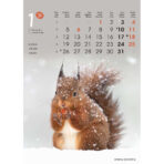 "ŽIVOTINJE" 13list., dim: 24x53,5 cm, PVC vrećica, P/50, color kalendar - Slika 6