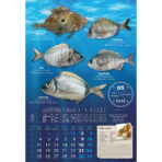 "S RIBARNICE" 13 list., dim: 33x55 cm, PVC vrećica, P/40, color kalendar - Image 8