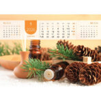 "JUST RELAX" 13 list., dim: 33,5x31 cm, PVC vrećica, P/50, color kalendar - Image 8