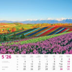 "ČARI PRIRODE" 13 lis. dim: 33x40cm, PVC vrećica, P/50, color kalendar - Image 8