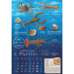 "S RIBARNICE" 13 list., dim: 33x55 cm, PVC vrećica, P/40, color kalendar - Image 9