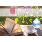 "JUST RELAX" 13 list., dim: 33,5x31 cm, PVC vrećica, P/50, color kalendar - Image 9