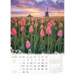 "CVIJEĆE" 13 list., dim: 24x53,5 cm, PVC vrećica, P/50, color kalendar - Image 10