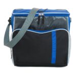 Polyester (600D) cooler bag Ravi
