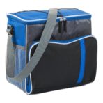 Polyester (600D) cooler bag Ravi - Slika 3