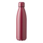 Stainless steel double walled bottle (500 ml) Amara