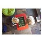 MDF football table game Alina - Slika 4