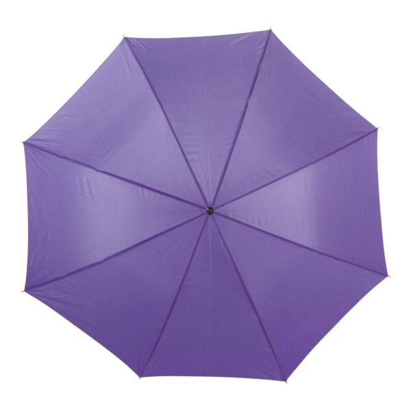 Polyester (190T) umbrella Andy