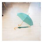 Polyester (190T) umbrella Kelly - Image 2
