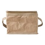 Paper woven cooler bag Ollie