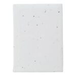 Paper sticky notes seed paper Patricia