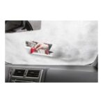 PS ice scraper Amaryllis - Image 5