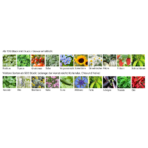 SPROUT - Pencil - Image 3