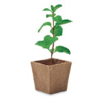 Mint seeds growing kit - Slika 5
