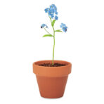 Terracotta pot 'forget me not' - Slika 5