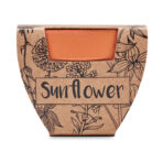 Terracotta pot 'sunflower' - Slika 4