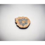 Pine tree set - Slika 5