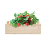 Strawberry kit in wooden crate - Image 2